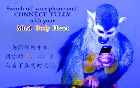 monkey+phone