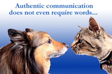 throat chakra cat+dog