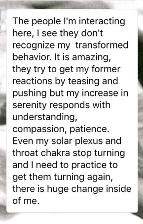 feedback-Michael Gorris.jpg