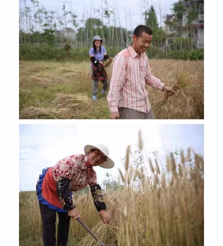 Heartland pix-farmers