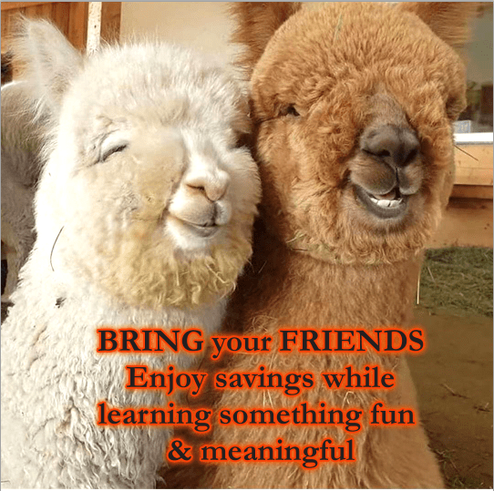 This image has an empty alt attribute; its file name is llma-friends.png